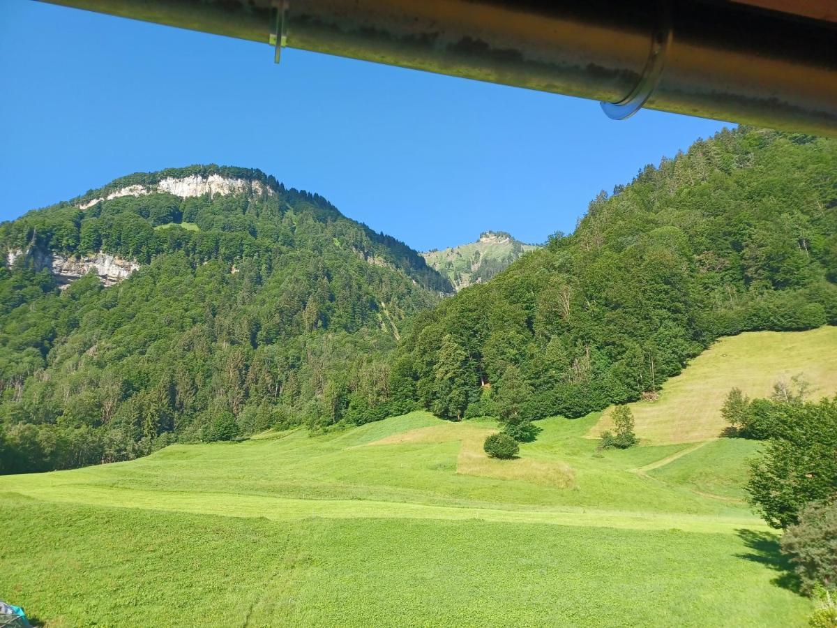Apartment "Johann" Aktivurlaub Im Bregenzerwald Меллау Экстерьер фото